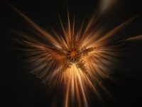 Angels